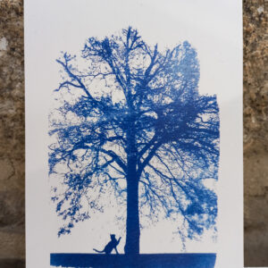 Carte postale chat, cyanotype Clemence Quitterel