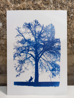 Carte postale chat, cyanotype Clemence Quitterel