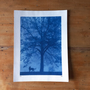 Cyanotype chat et arbre - made in France - piece unique