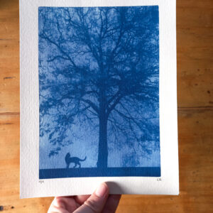 Cyanotype chat et arbre - made in France - piece unique