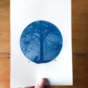 Cyanotype chat arbre 14.8 x 21 cm