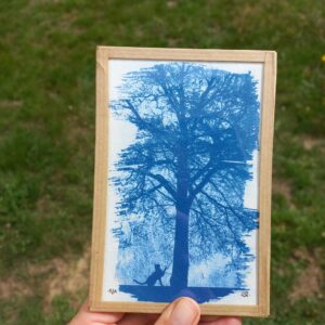 L'arbre et le chat