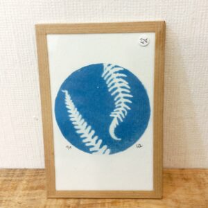 Cyanotype « Fougères » 10 x 15 cm