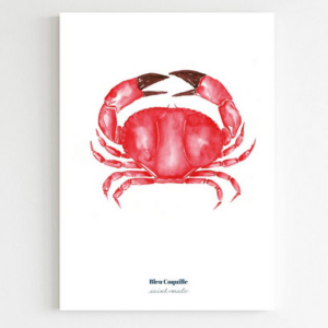 Affiche A5 Crabe Rouge - Bleu Coquille