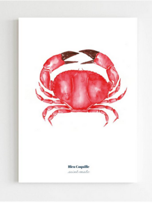 Affiche A5 Crabe Rouge - Bleu Coquille