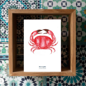 Affiche A5 Crabe Rouge - Bleu Coquille