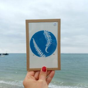 Cyanotype Fougeres Clemence Quitterel Artiste bretagne