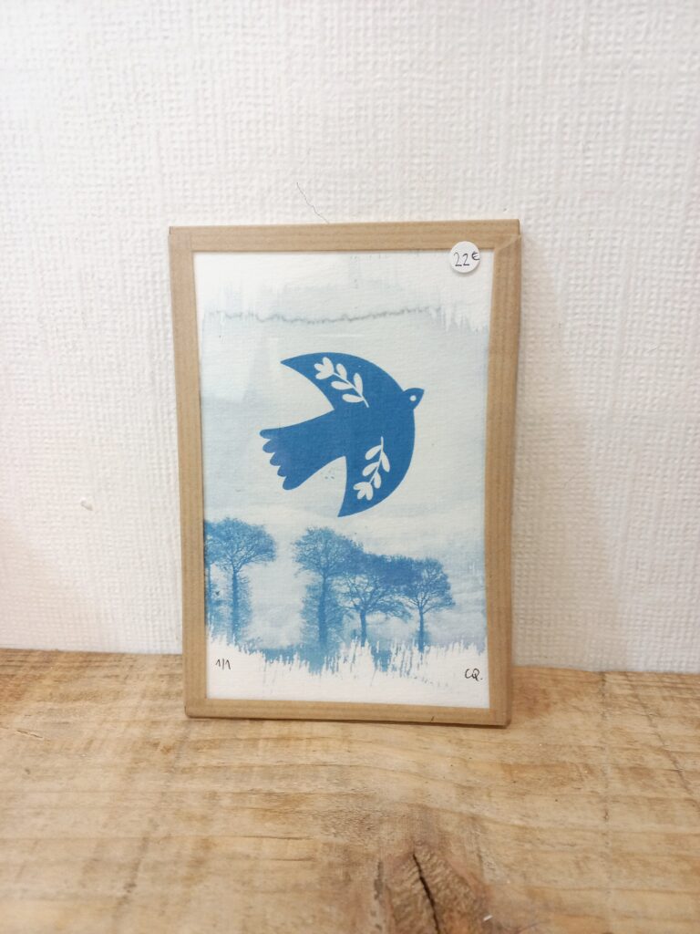 cyanotype envol oiseau