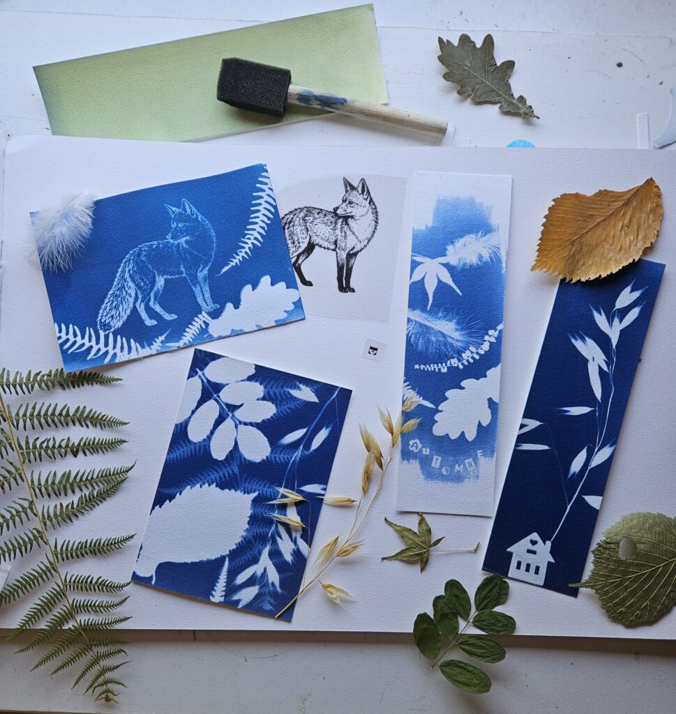 atelier cyanotype fougeres