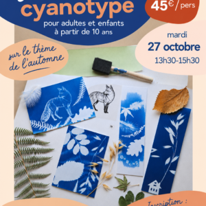Atelier « Découverte de la technique du cyanotype »- Fougères chez Pot et rire