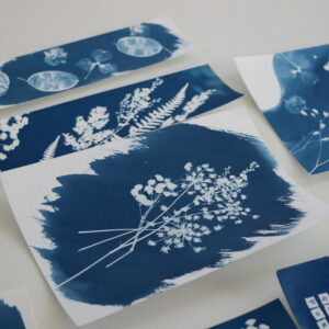 Atelier créatif Fougères cyanotype